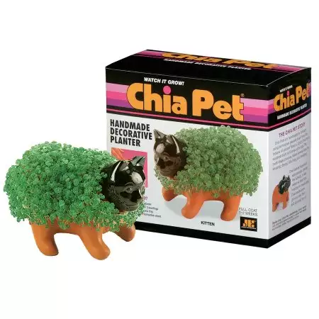 what is a chia pet, what is chia plant